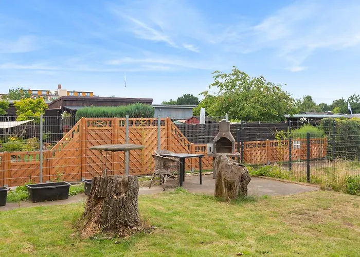 Midnight Sky - Golden Sunrise *